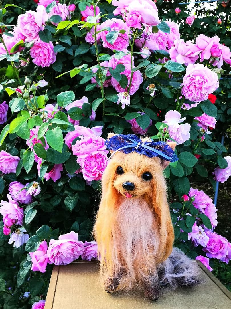 羊毛フェルト等身大ヨークシャーテリア