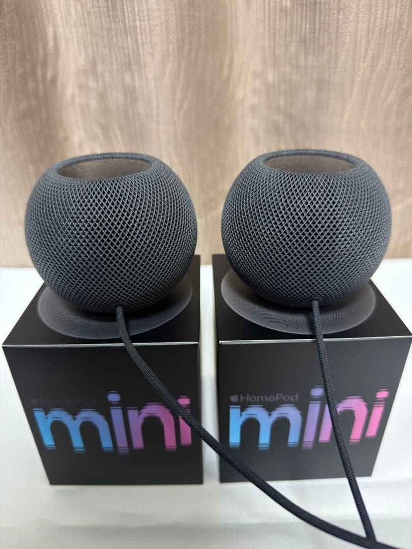 Apple Pod mini 2台セット