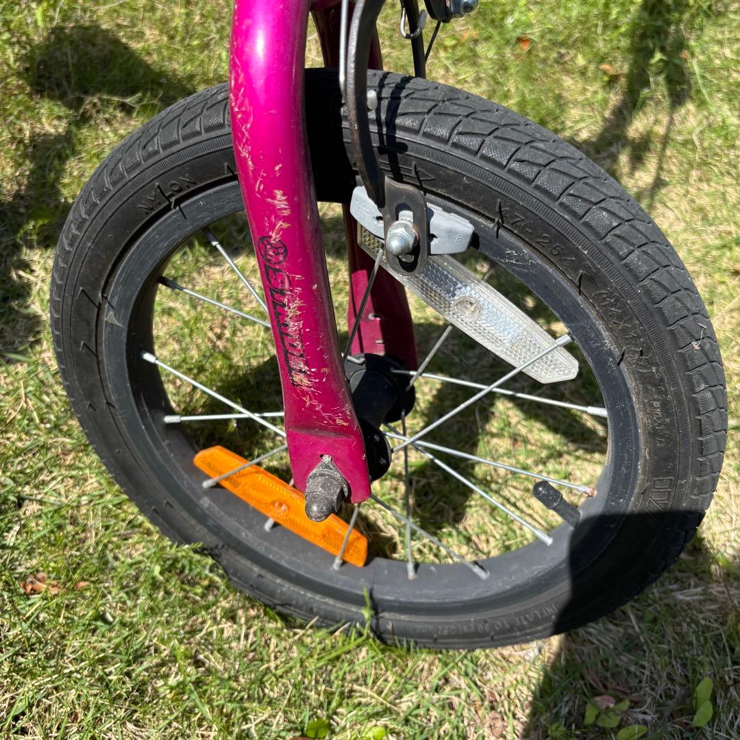 自転車本体 Exotic jungle