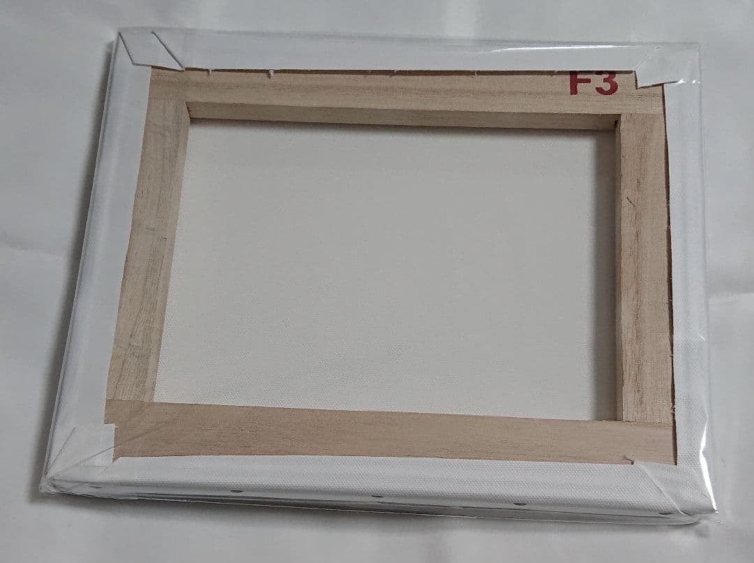 やまねあやの ビーボーイゴールド展 キャンパス ファインダーシリーズ