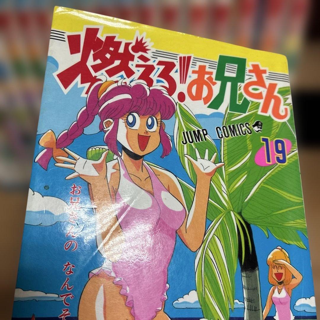 燃えるお兄さん　全19巻　全巻　燃える！お兄さん