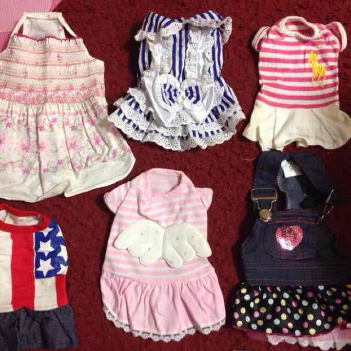 ペット 女の子 お洋服 未使用  レディ 犬