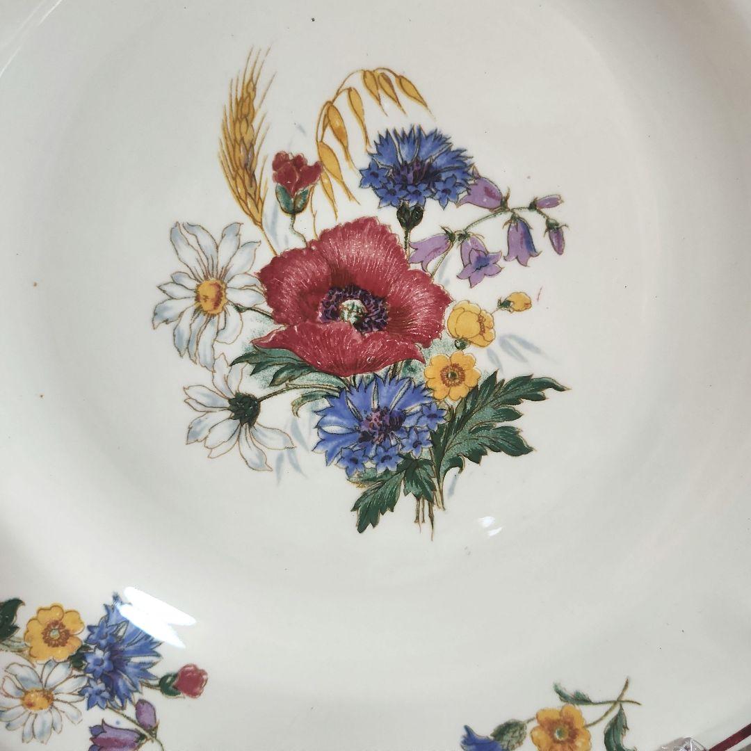 フランス　サルグミンヌ　アグレスト agreste　ディナー皿　プレート　3枚