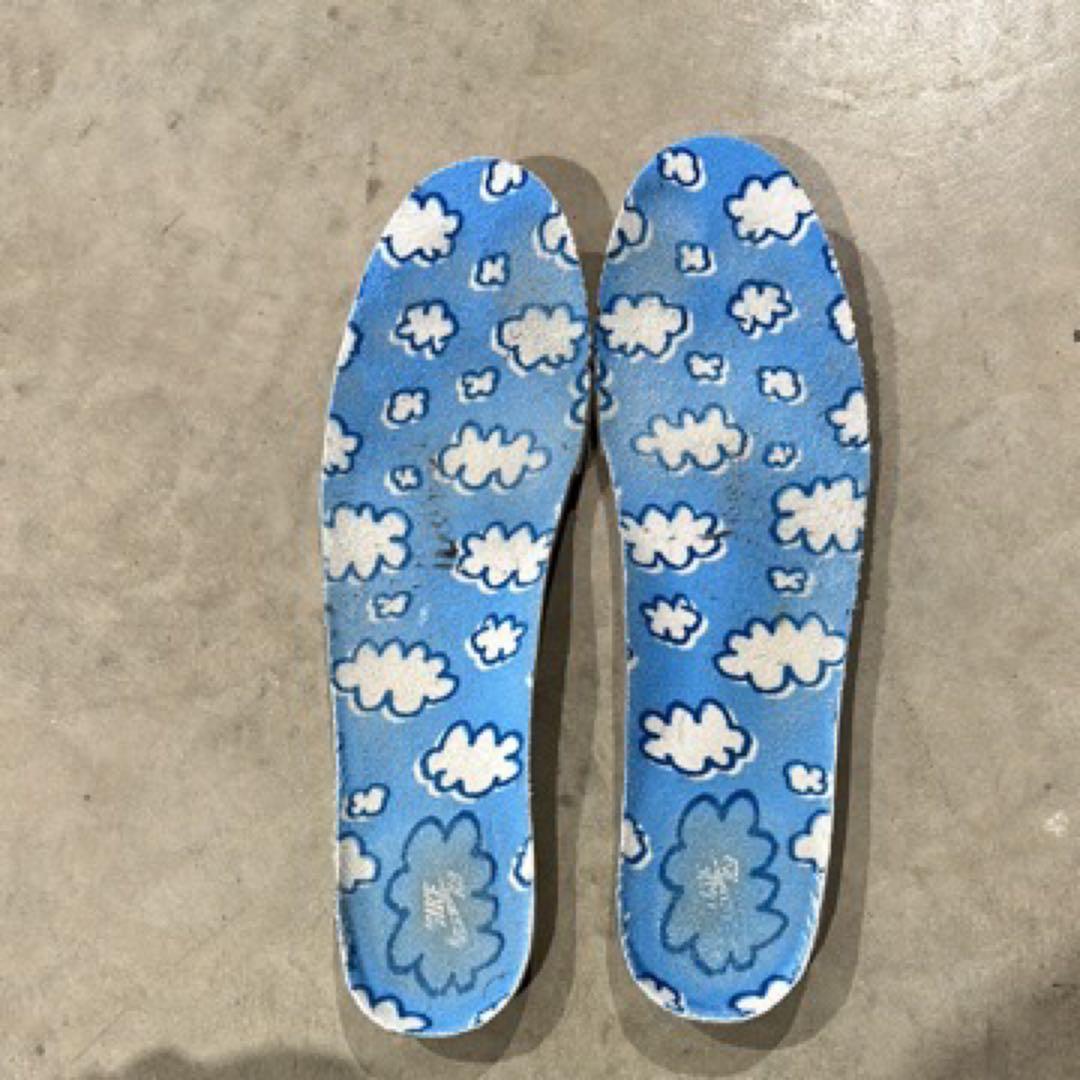 Kevin Bradley × Nike SB