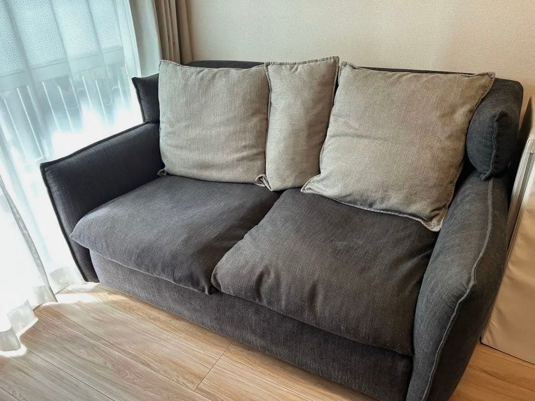 ニトリ 2人用ソファ ソフティーナ　DGY 2人掛け