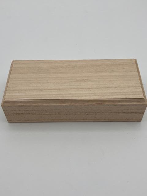 パイロット 万年筆 カスタム845 漆黒 中字 FKV-5MR-B-M