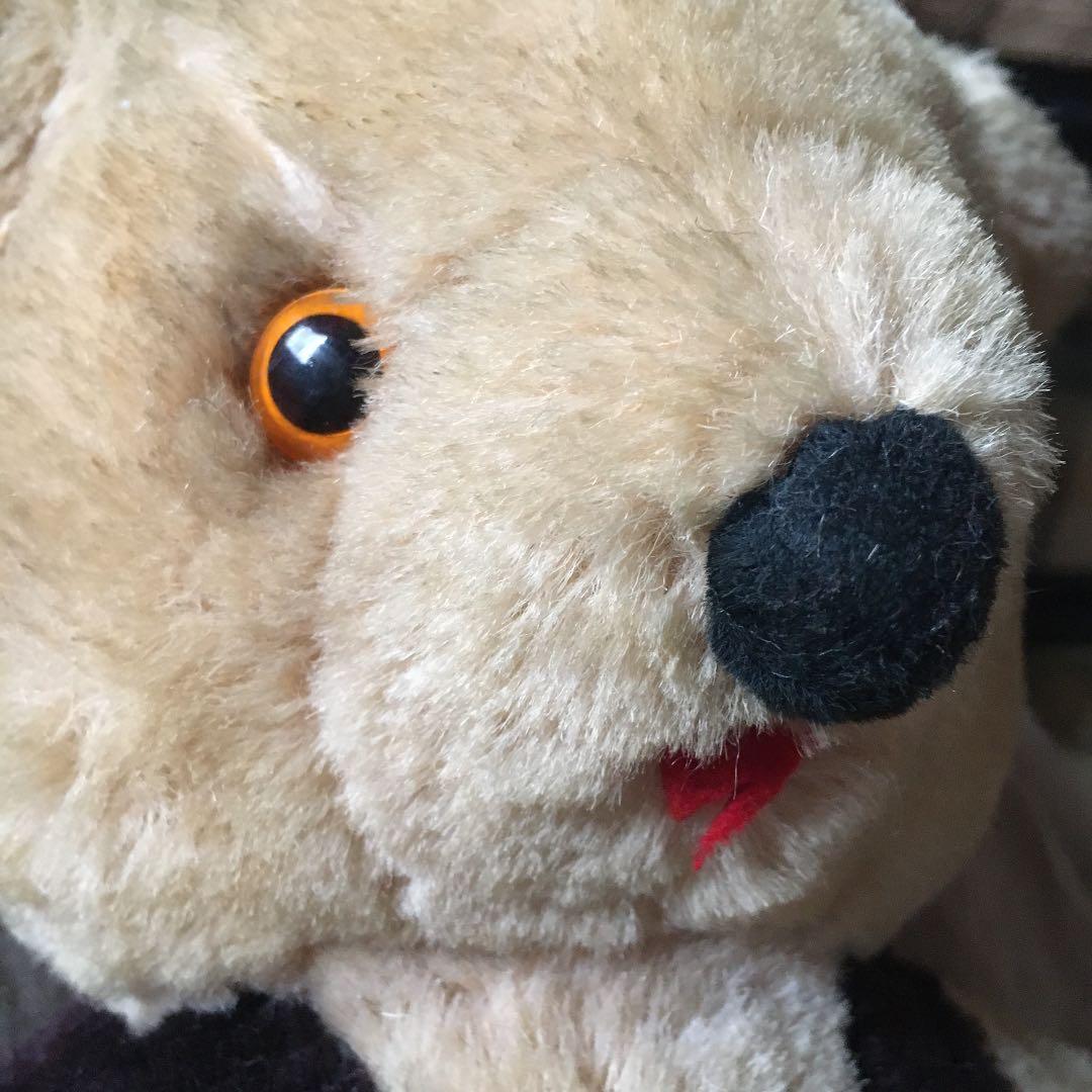 古いくまのぬいぐるみ