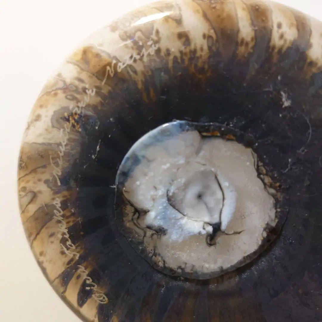 イッタラバード　オウル　オイバトイッカ　ヌータヤルヴィ　ふくろう