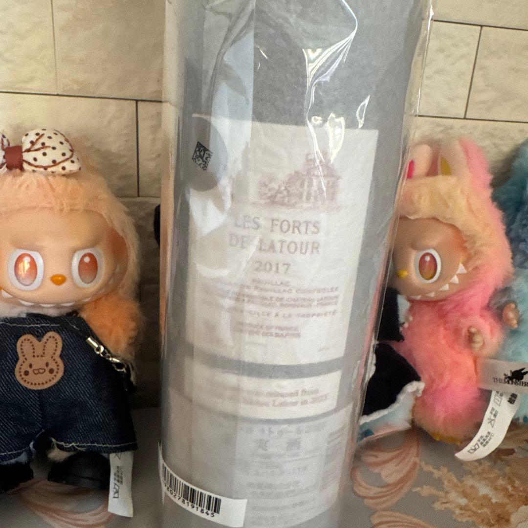 LES FORTS DE LATOUR 2017 赤ワイン