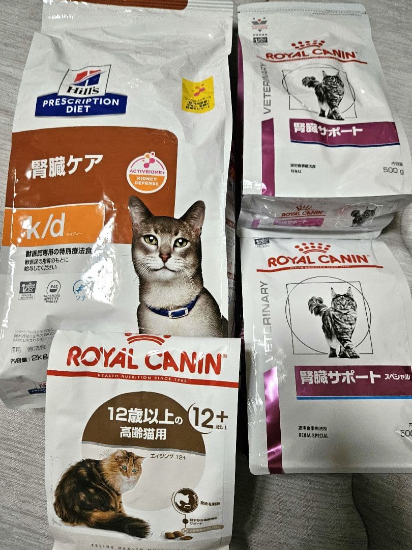 ティファニーです。