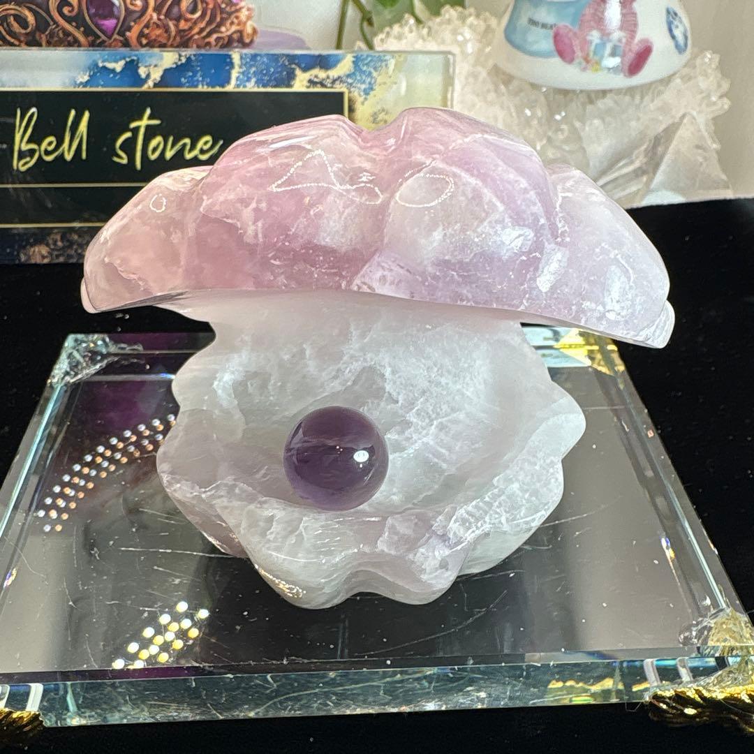 シルキーフローライト貝♡シェル♡No.2585