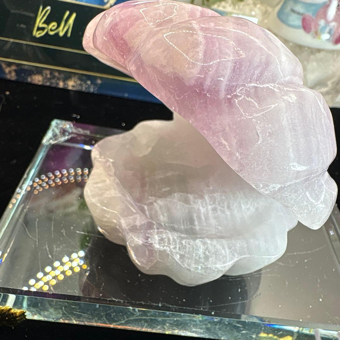 シルキーフローライト貝♡シェル♡No.2585