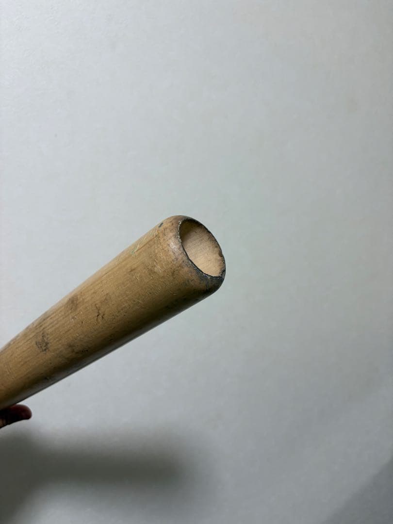 Mizuno Pro 木製バット NPB