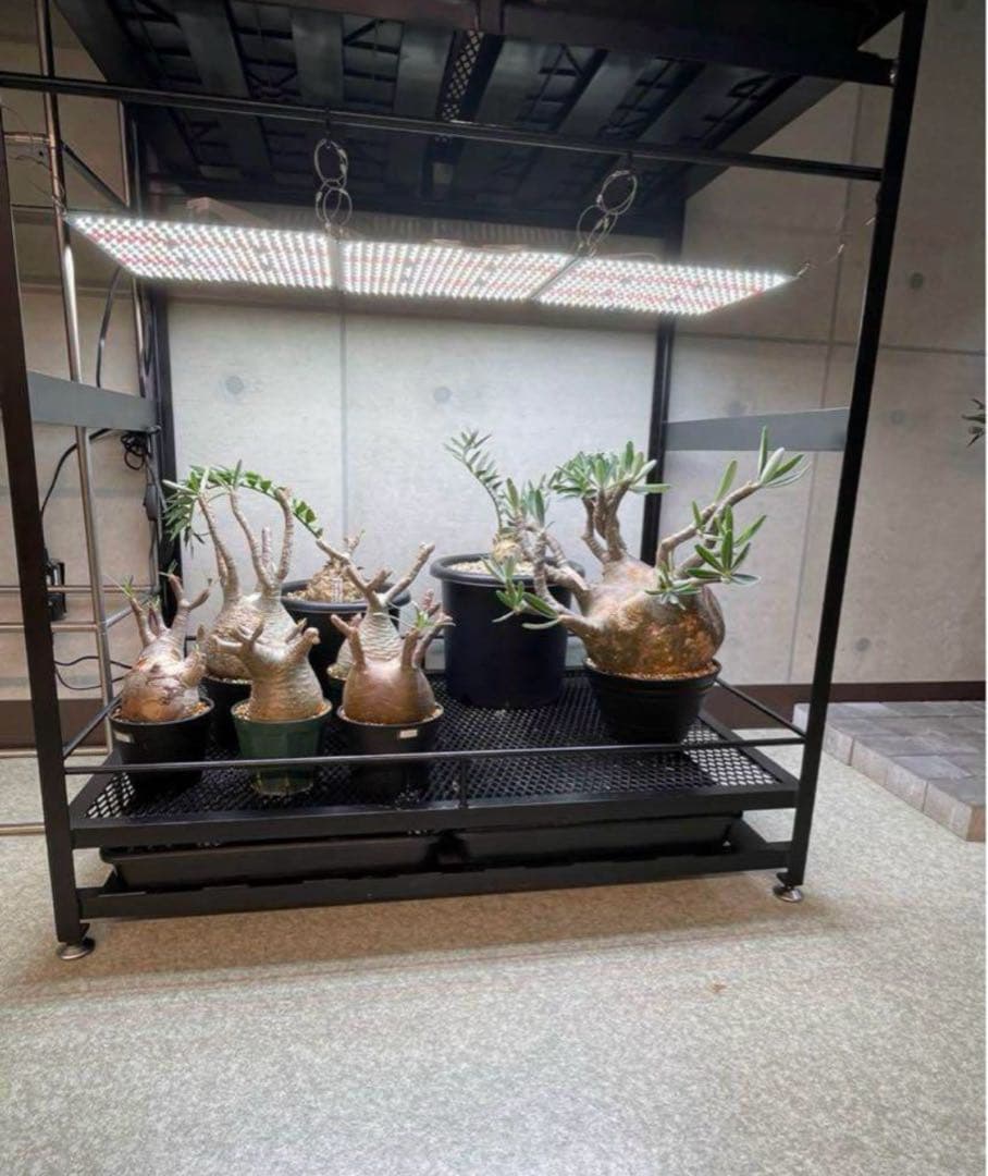 植物棚　アイアン　コンパクトタイプ　アイアン植物棚　シェルフ　tig溶接製作