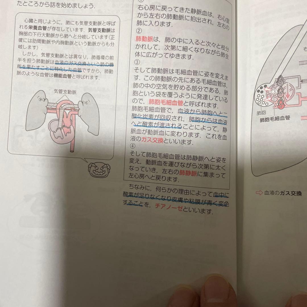 イメージするカラダのしくみ　『イメカラ』8冊セット