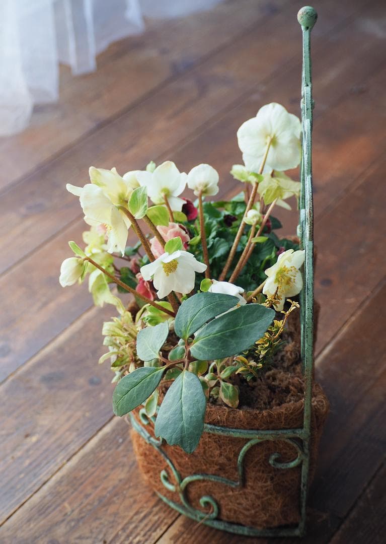 シャビーナチュラルなクリスマスローズ寄せ植え