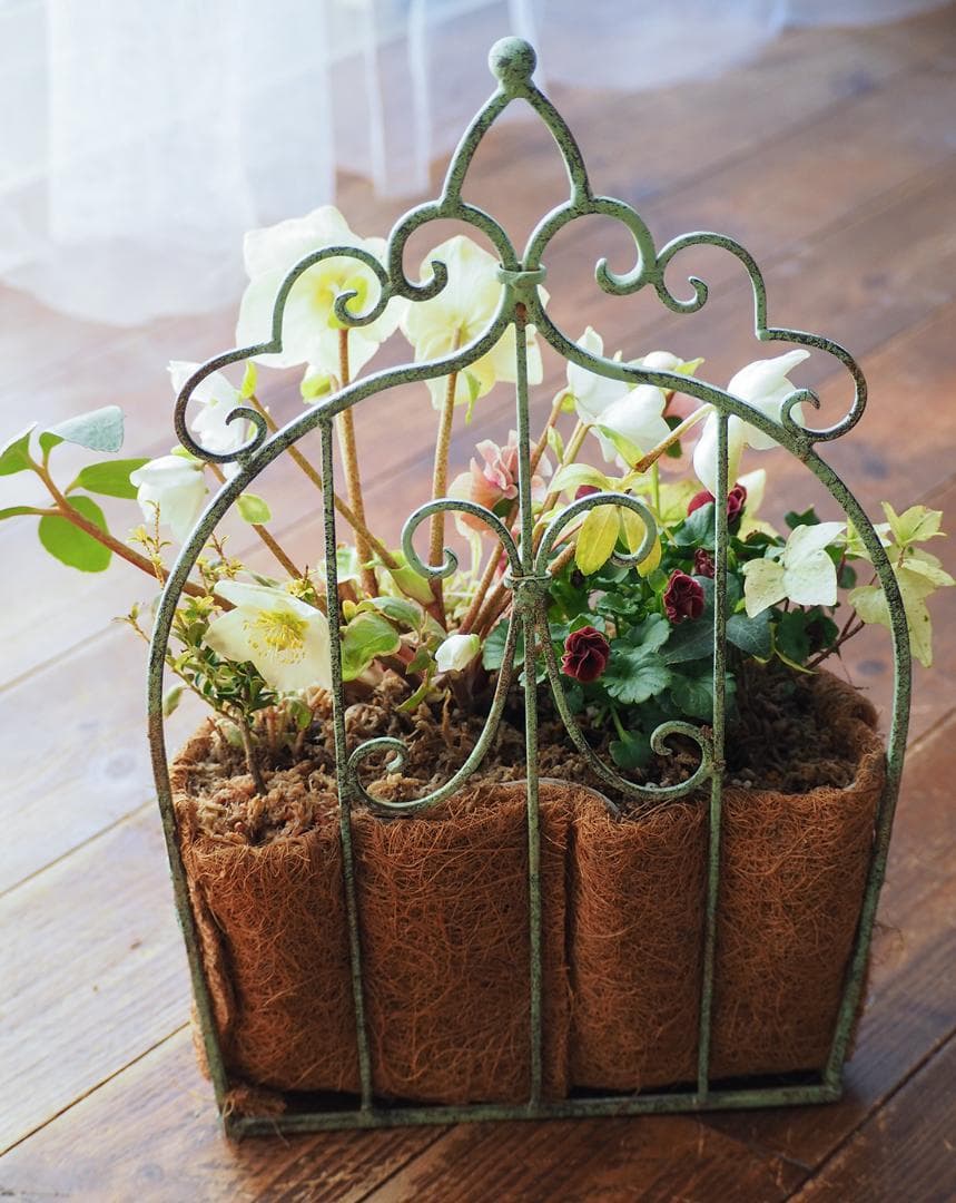 シャビーナチュラルなクリスマスローズ寄せ植え