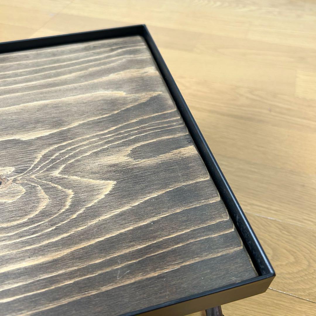 アイアンシェルフ　植物棚　アガペ　ボタニカル　グラキリス