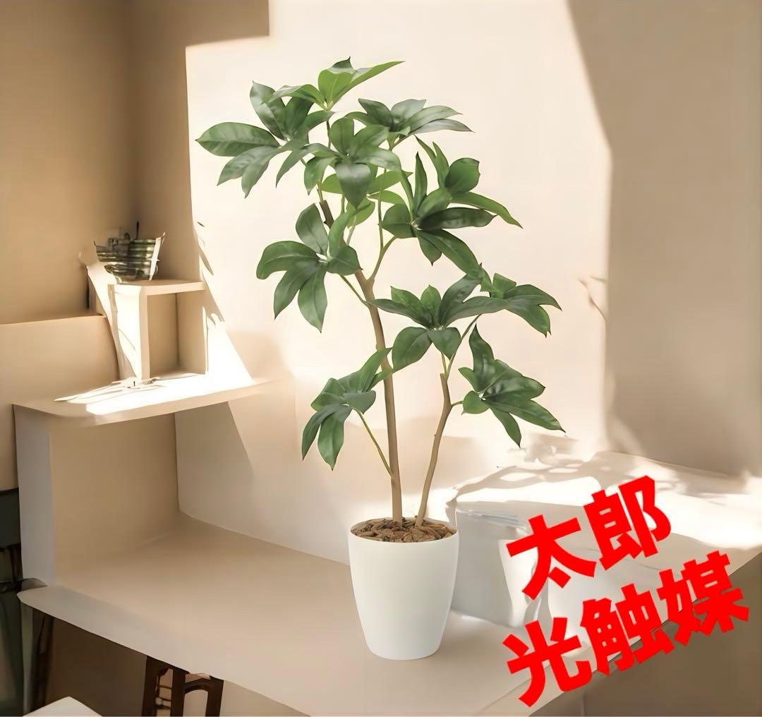 光触媒　人工観葉植物　ウォールグリーン　フェイクグリーン　ツピタンサス1.2