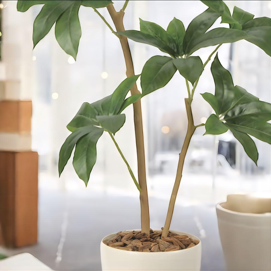 光触媒　人工観葉植物　ウォールグリーン　フェイクグリーン　ツピタンサス1.2