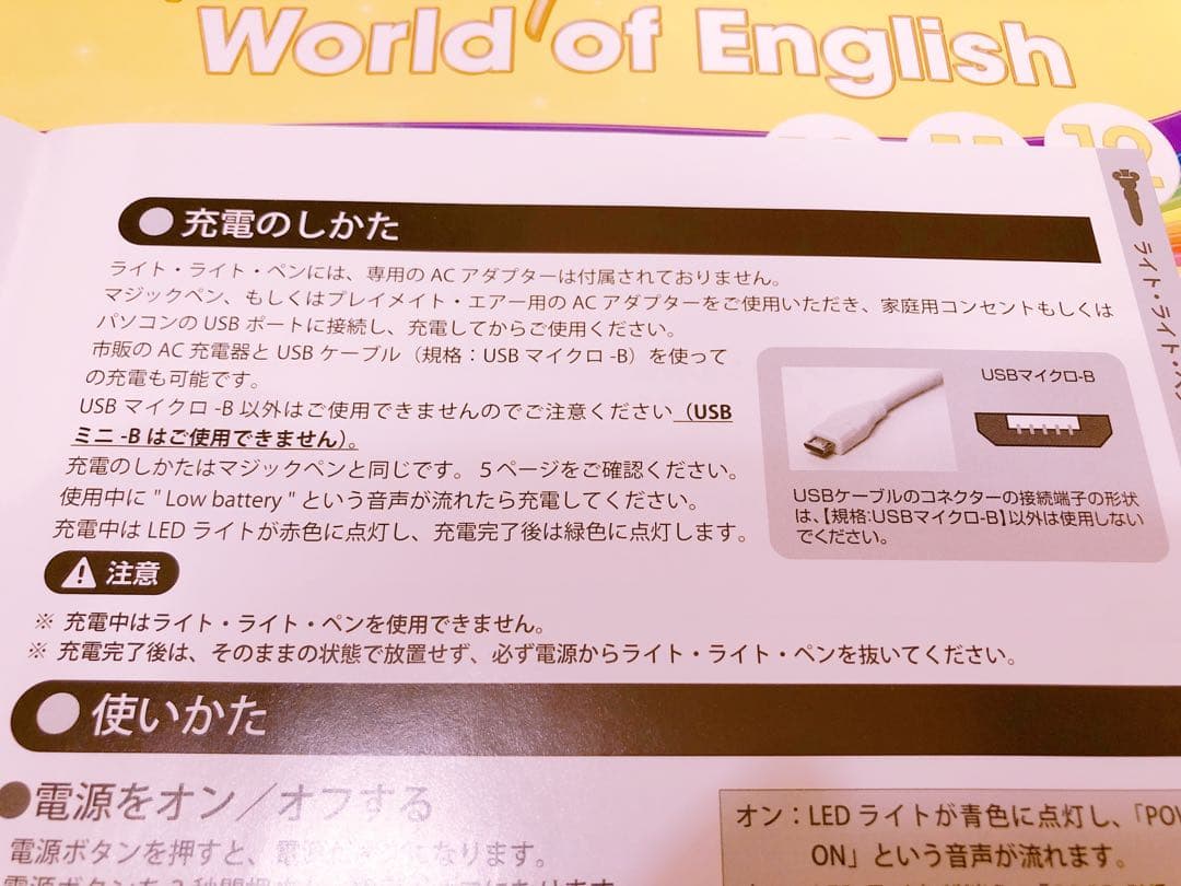 最終価格DWE☆メインプログラムセット☆　ステップバイステップ等DVDBOX