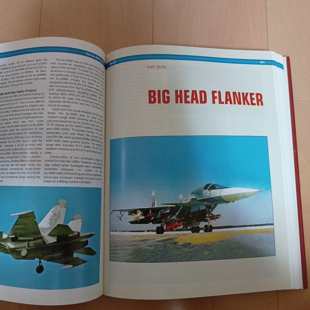 Sukhoi Su-27 スホーイ　スホイ　ロシア