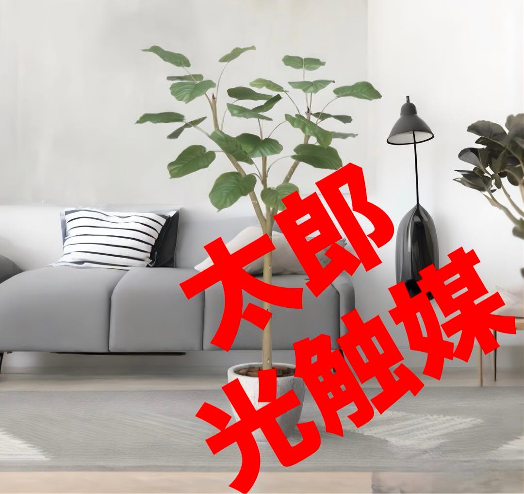 光触媒　人工観葉植物　フェイクグリーン　ナチュラルウンベラータ1.5