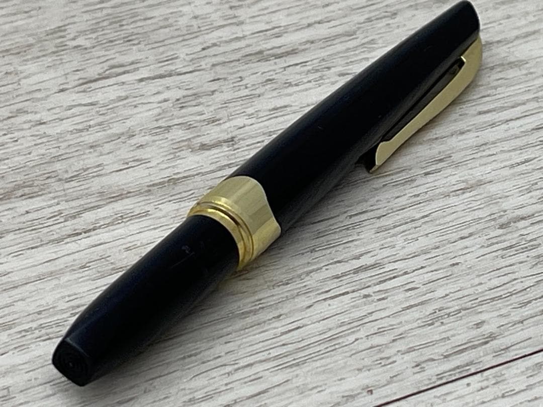 プラチナ 万年筆 18K 細軟 ブラック×ゴールド PLATINUM