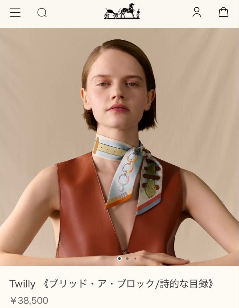 ⭐️新品未使用タグ付き.HERMES Twilly