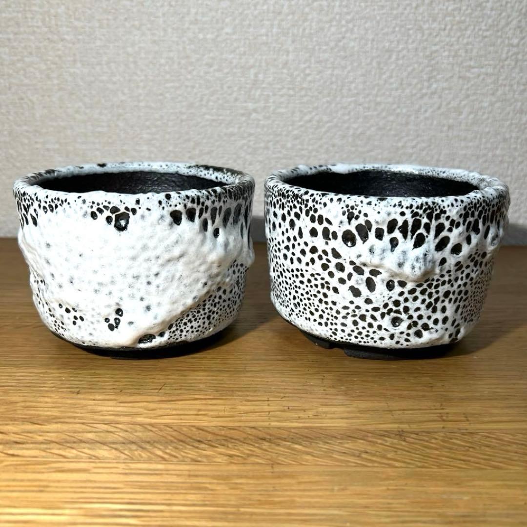 botanize ボタナイズ グレムリン valiem spicygem セット