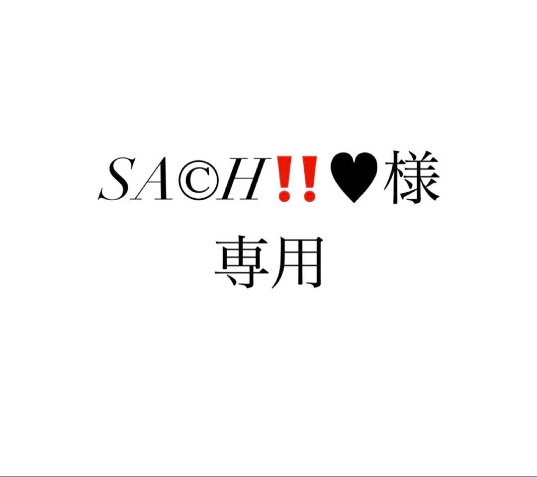 フィギュアとアクリルクリップ