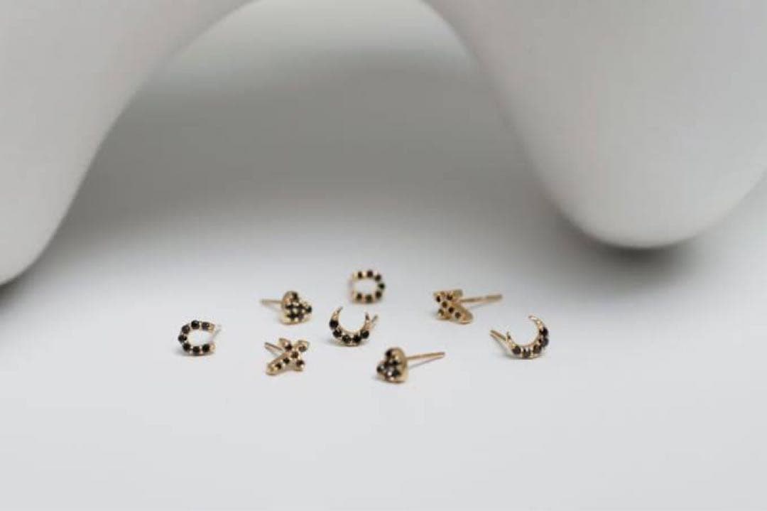 【最終価格】シエナロゼ　ブラックダイヤ　ピアス&ネックレス