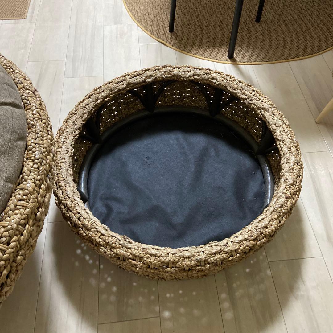 パパさんチェアーウォータヒヤシンス円形 1人掛けソファ- 送料込み