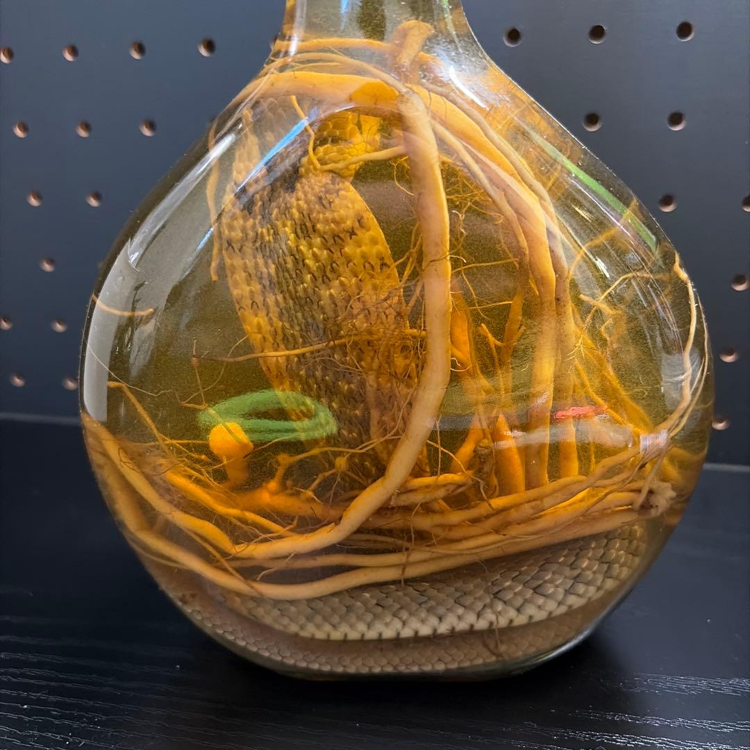 コブラ　サソリ　高麗人参 置き物