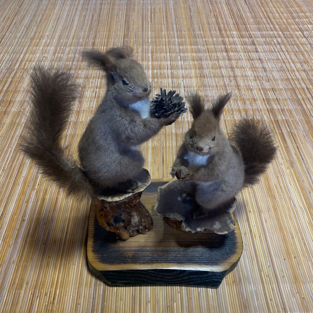リスの置物 2匹 松ぼっくり付