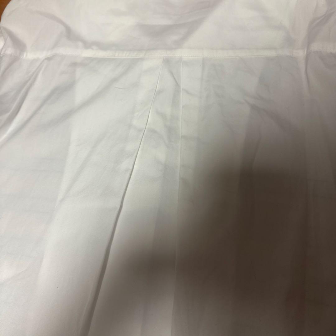 これが最安値！オレボレブラ アルベロベロ 今シーズンチュニックプレゼントつけます