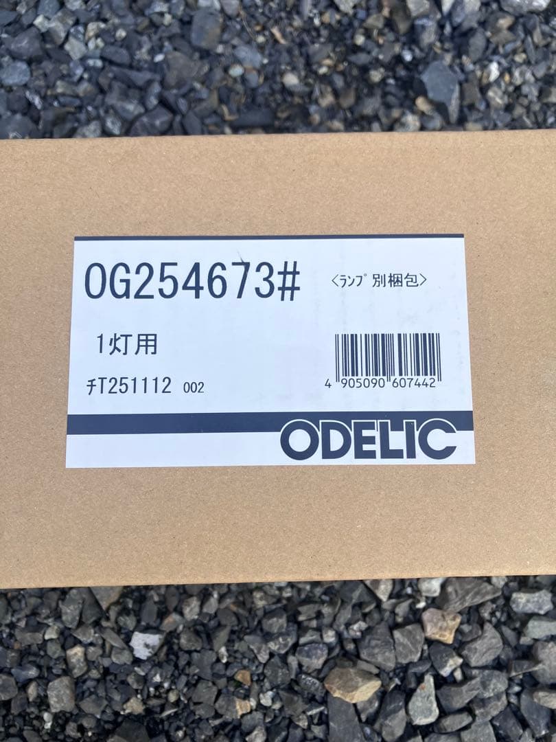 ODELIC OG254673# 1灯用照明器具　ポーチライト