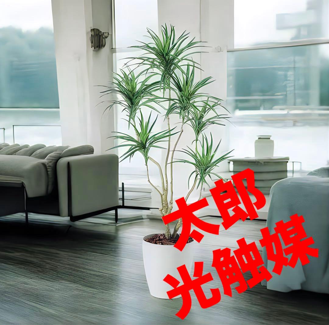 光触媒　人工観葉植物　ウォールグリーン　フェイクグリーン　コンシナトリコロル14