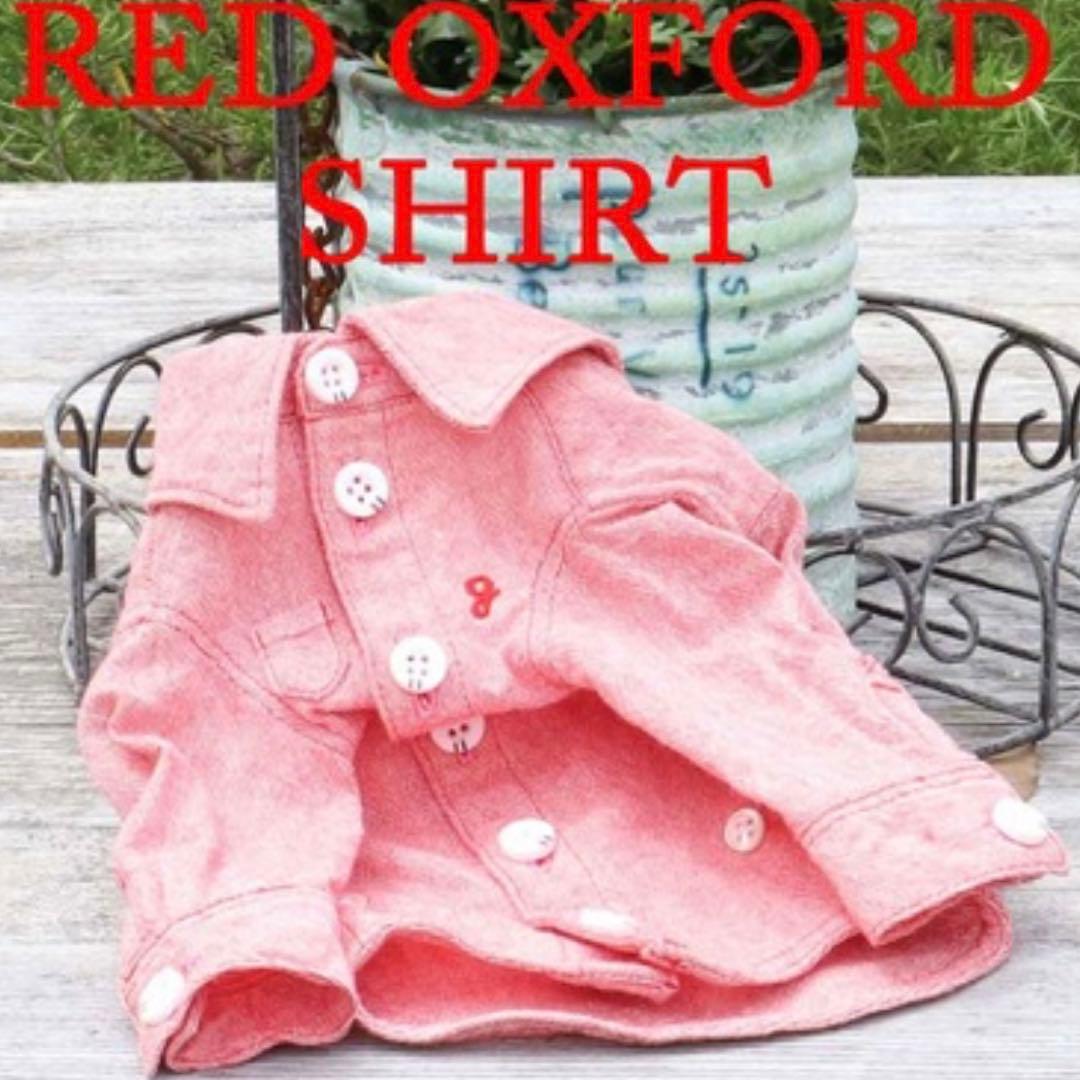 アトリエGG レッドオックスフォード 1ハーフ ※期間限定お値下げ