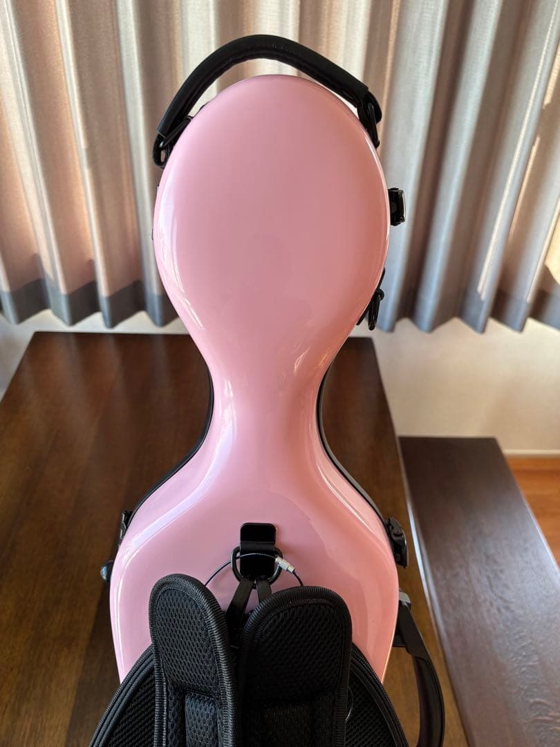 Fiumebianca バイオリンケースとBella Armonia バイオリン