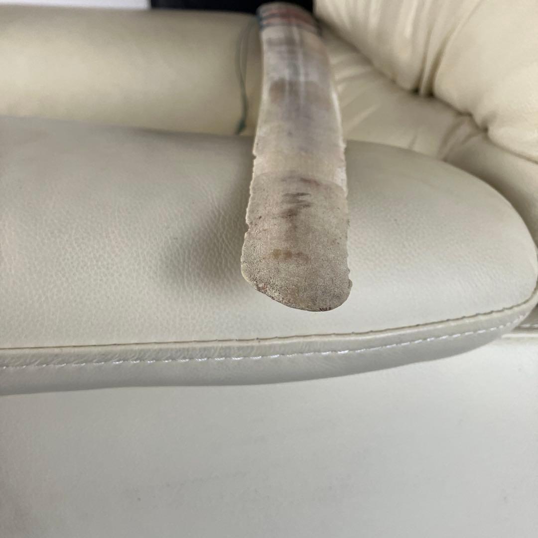 カジキマグロの吻だと知らされました。