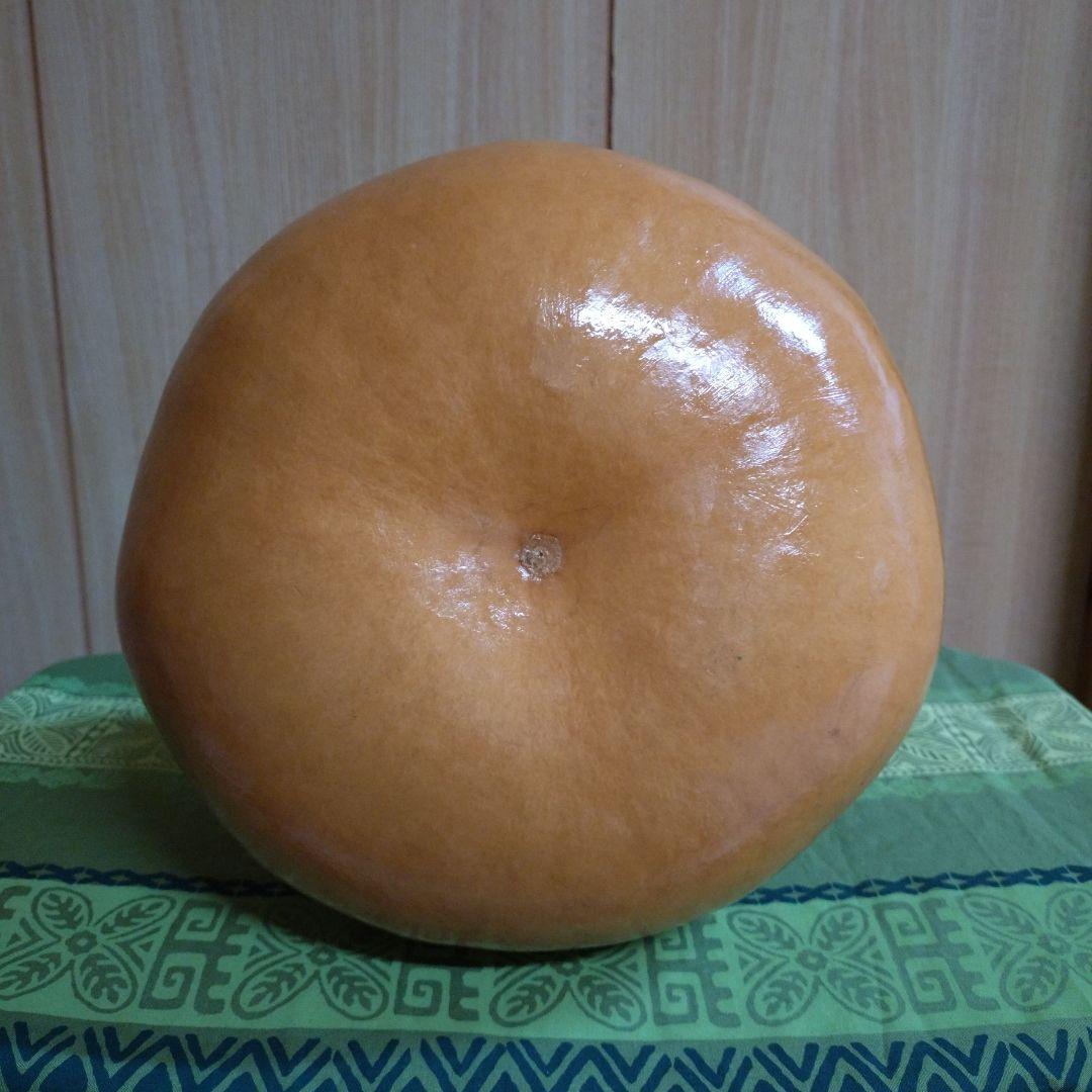 フラダンス用楽器イプ