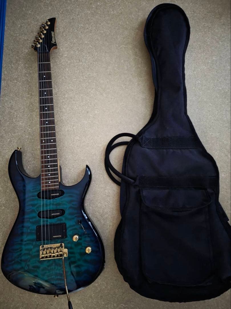 デ*ン様 フェルナンデスFGZ 420 ギター　 おまけ付