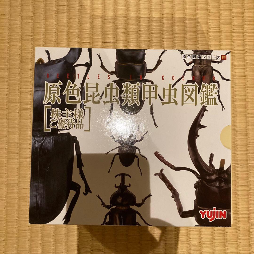 原色昆虫類甲虫図鑑 YUJIN
