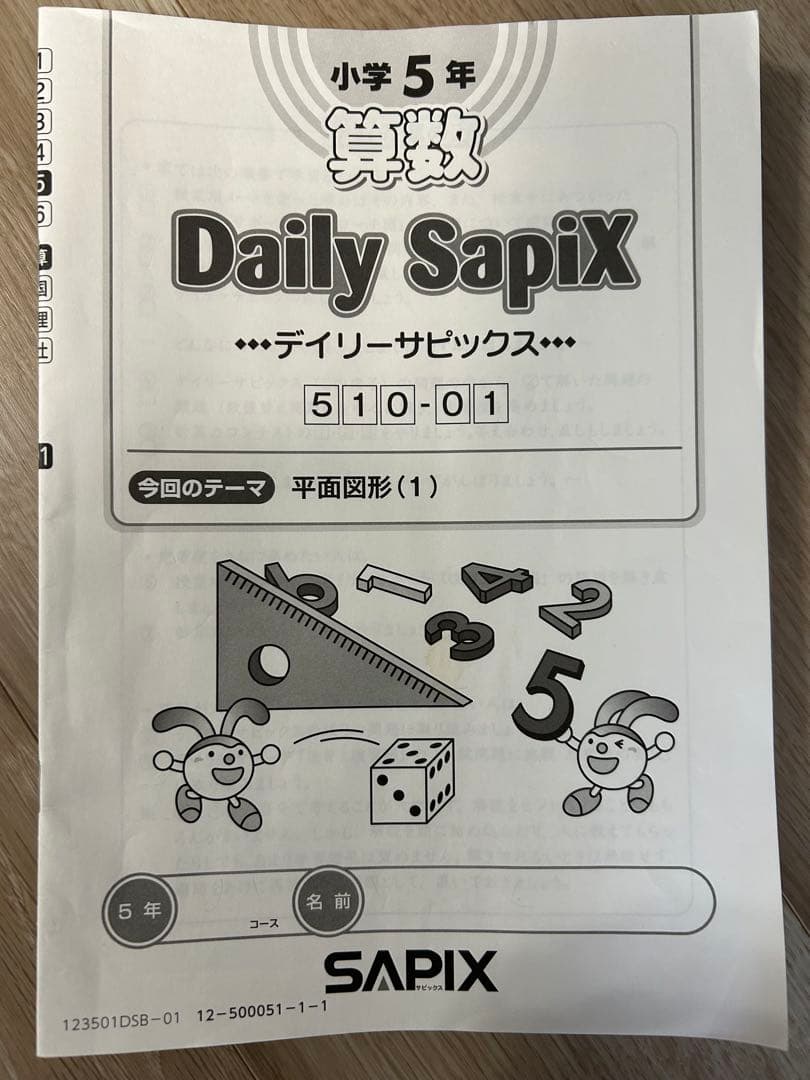 デイリーサピックス　SAPIX 小学5年 算数