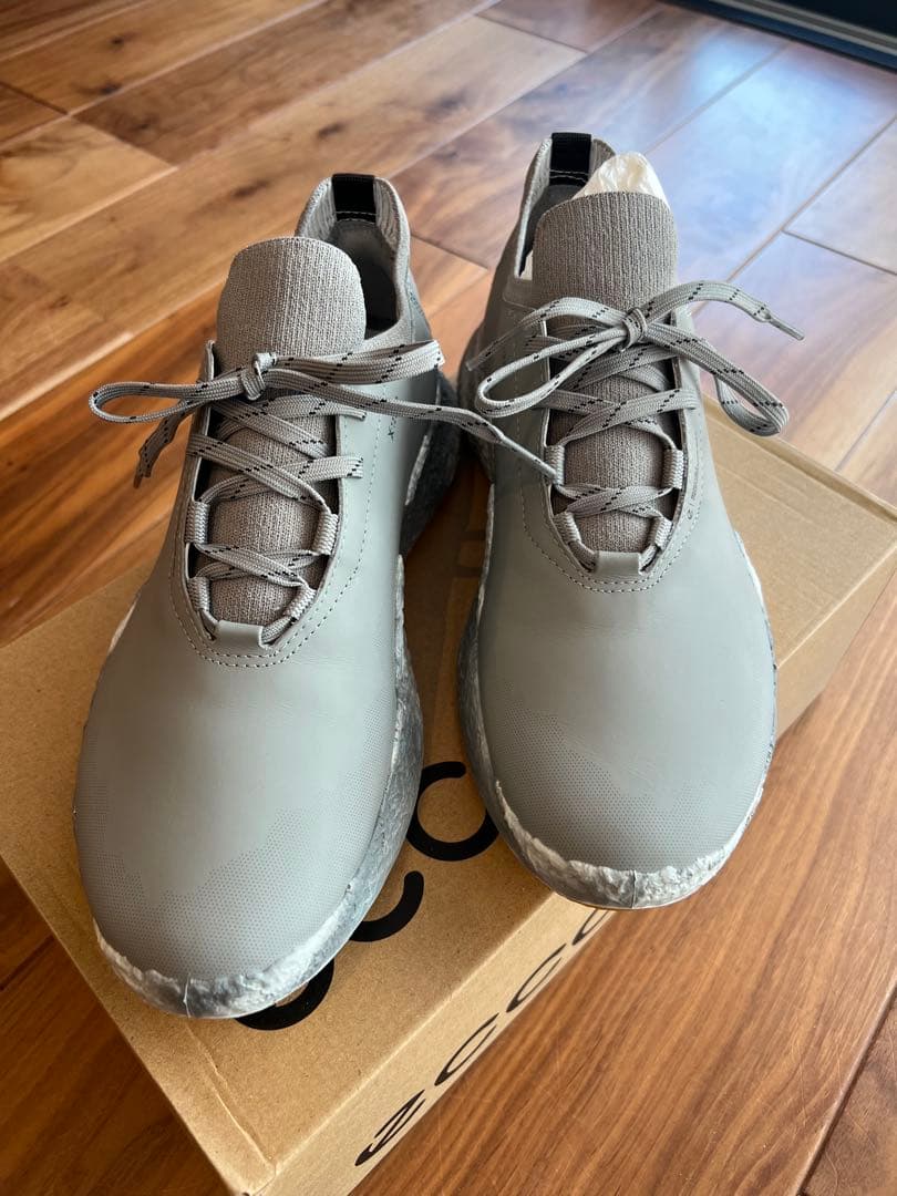 ECCO M GOLF BIOM H5 HYBRID EU40サイズ