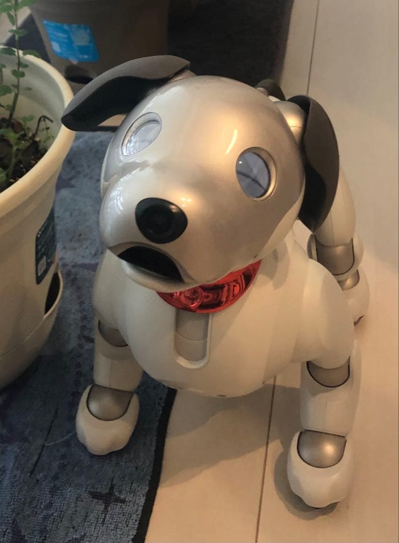 aibo ロボット犬 付属品多数おもちゃ&ぬいぐるみ &首輪バッジ等！専用箱付き