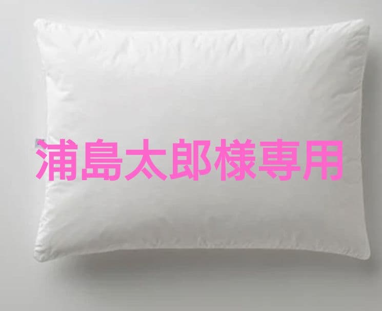 浦島太郎専用 プレミアムダウンピロー 1000x1000