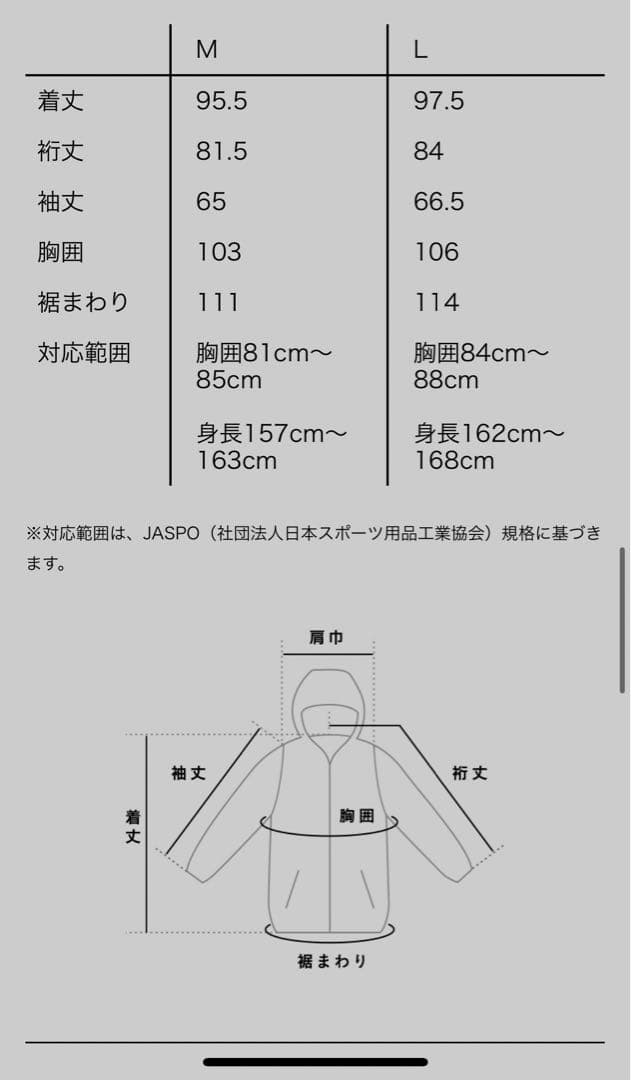 ほぼ日　DESCENTE 水沢ダウン　2020 ロングロング
