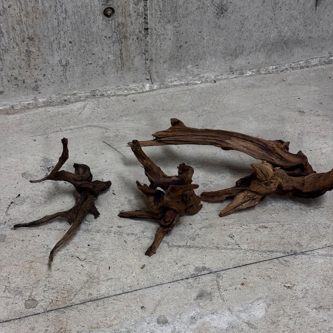 ADA ホーンウッド　流木その他　アクアリウム　テラリウム